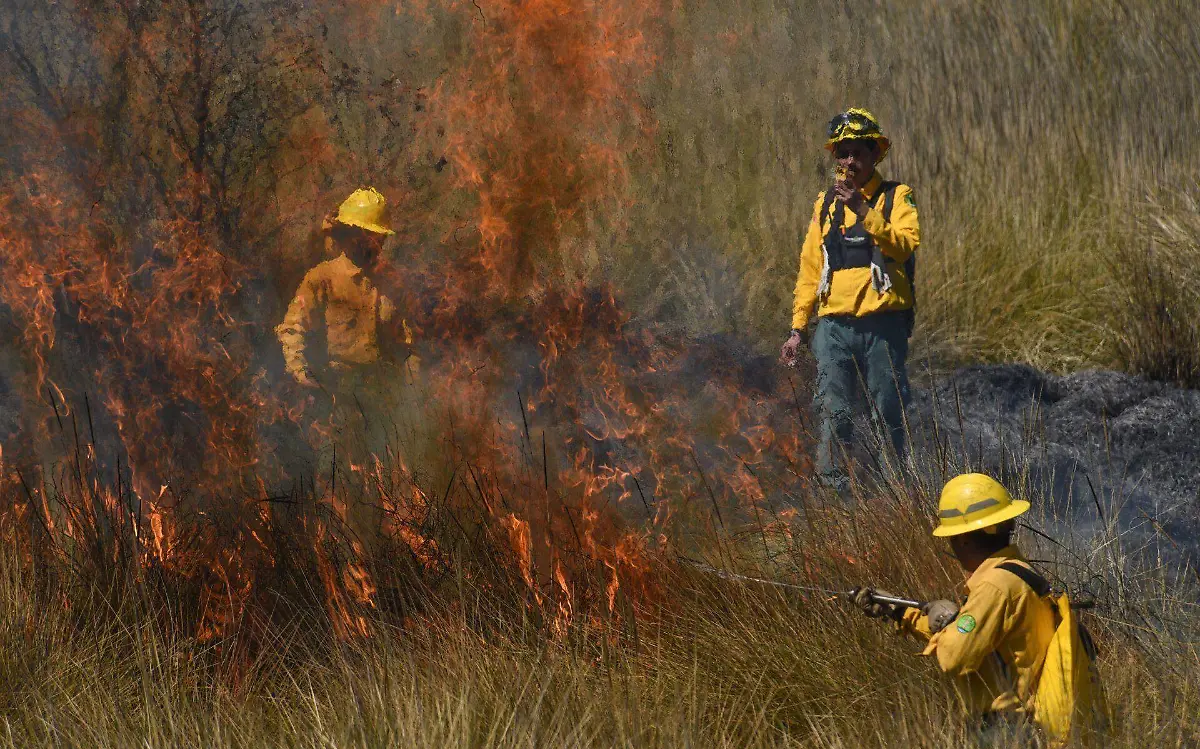 Tamaulipas reporta dos incendios forestales Cuartoscuro Archivo
