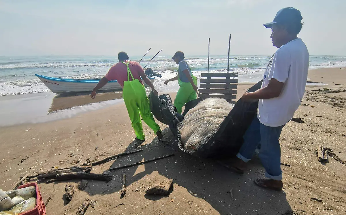 Pescadores se hunden en la pobreza junto a sus familias 