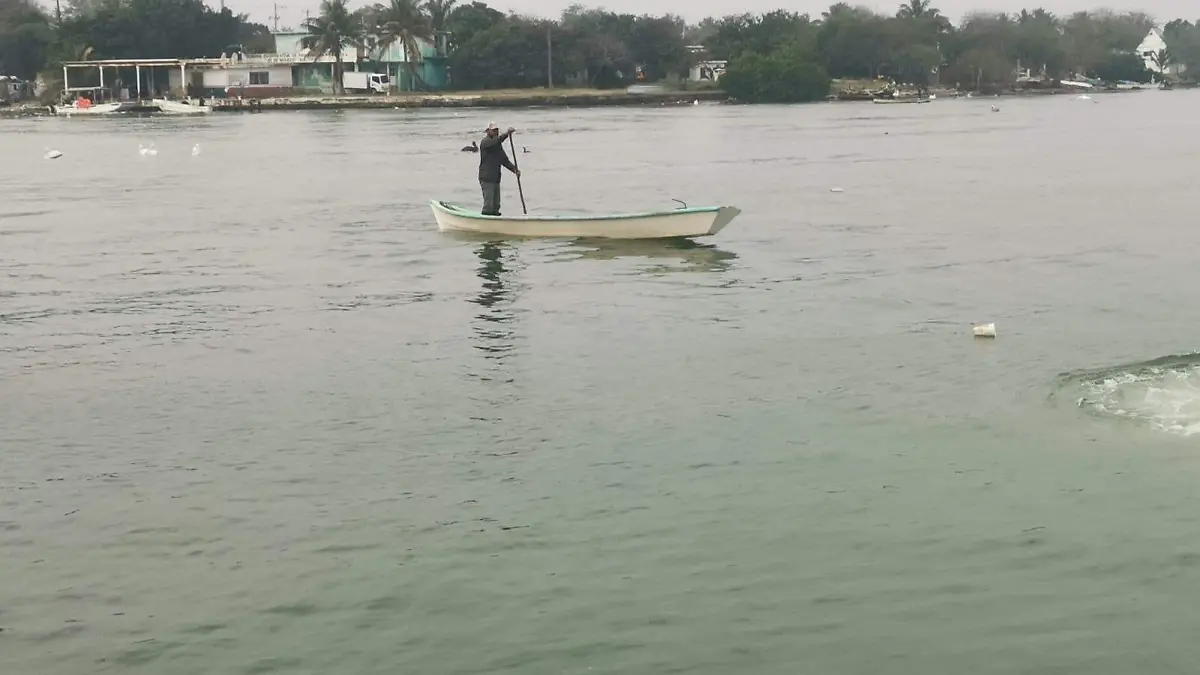 Pescadores obtienen al día solo 200 pesos