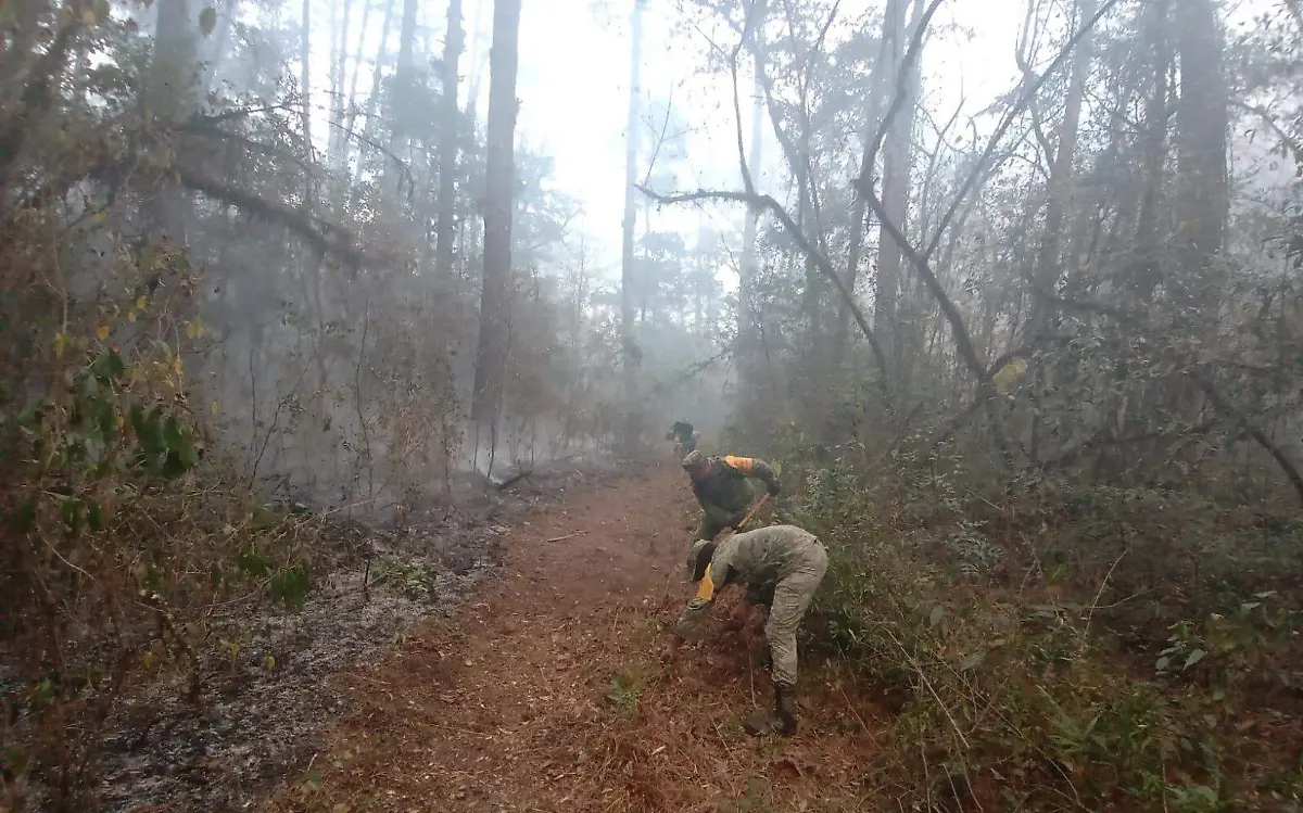 Ante el incendio en biósfera El Cielo, el Ejército Mexicano envió refuerzos | Sedena