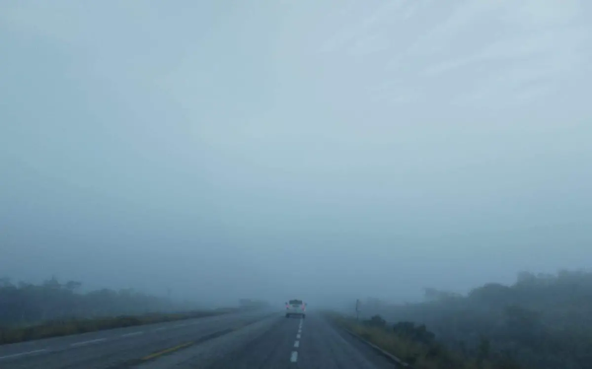 WhatsApp Image 2023-01-03 at 8.05.31 AM