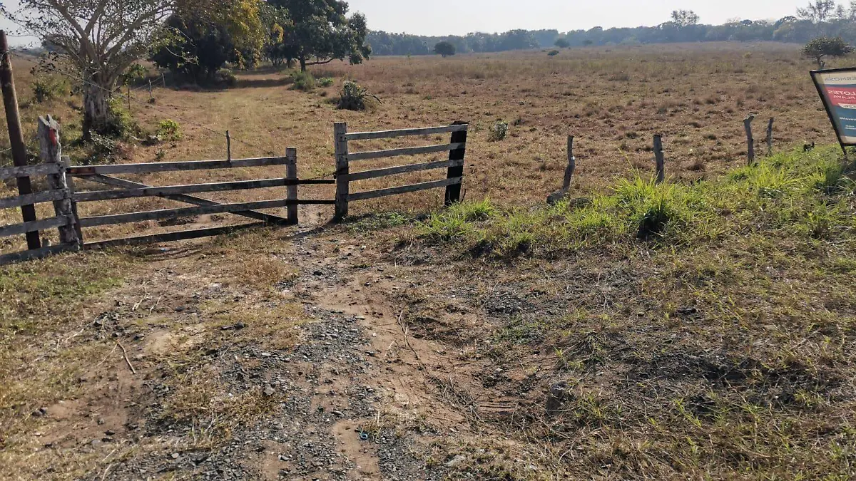 Temen la peor sequía en el campo del norte de Veracruz
