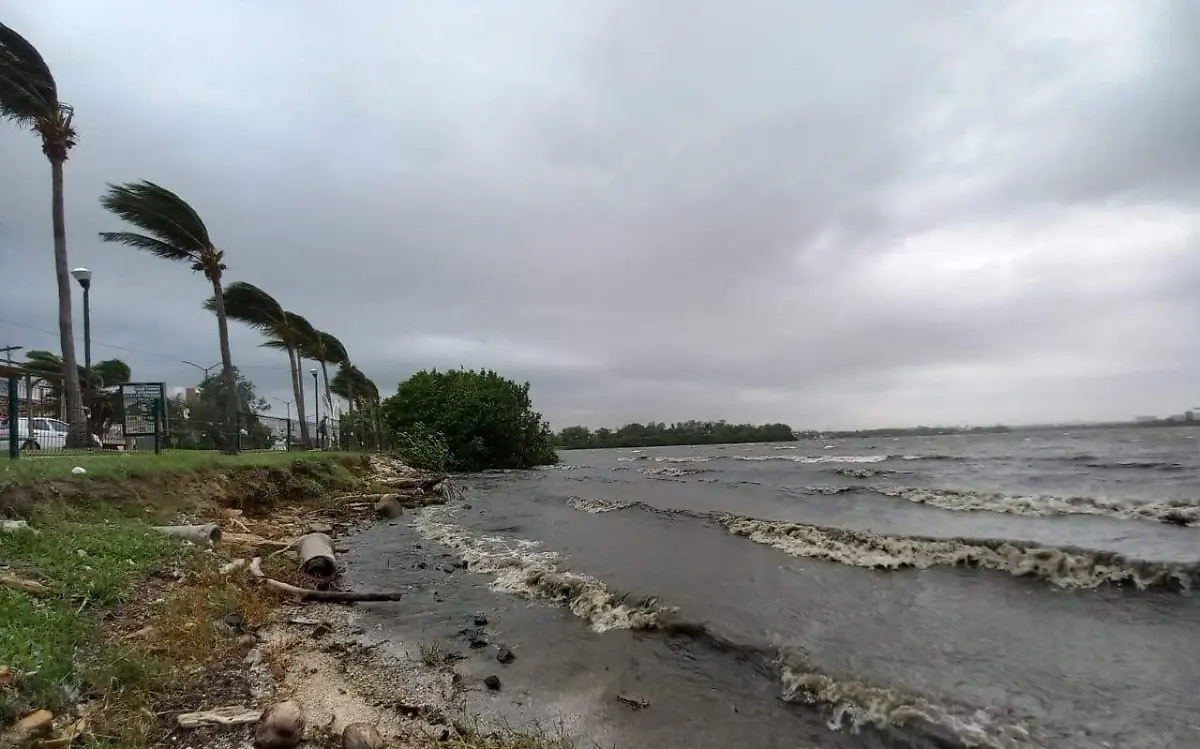 Norte en Tampico