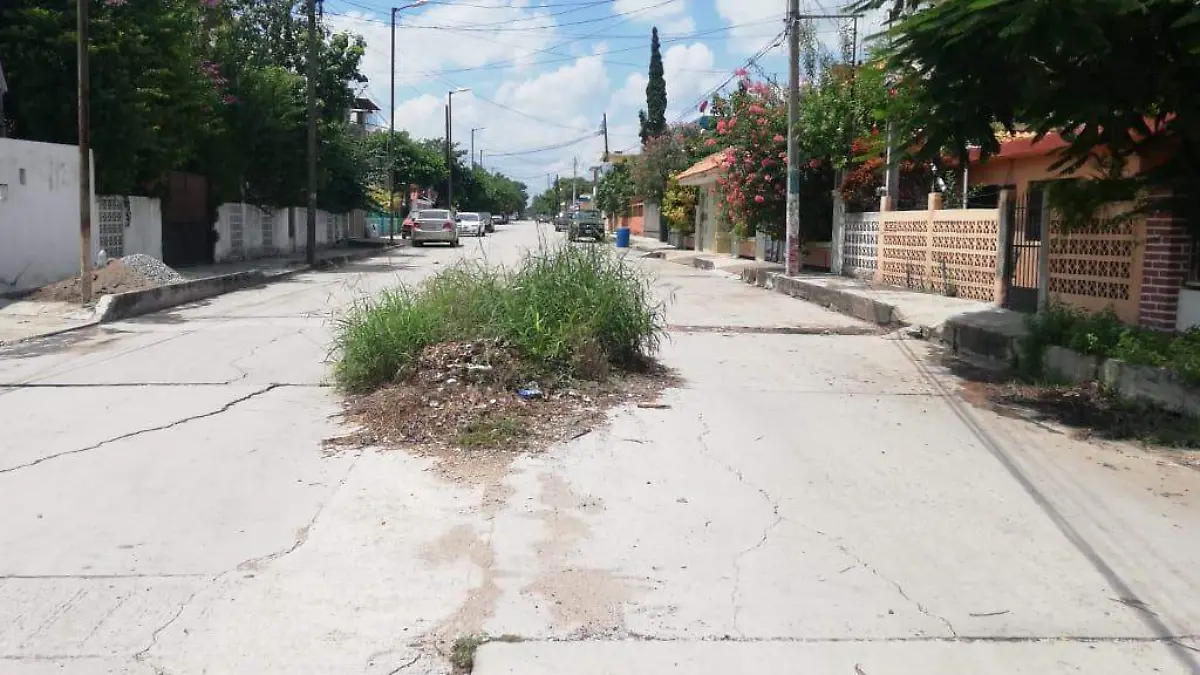 WhatsApp Image 2020-08-01 at 11.44.01