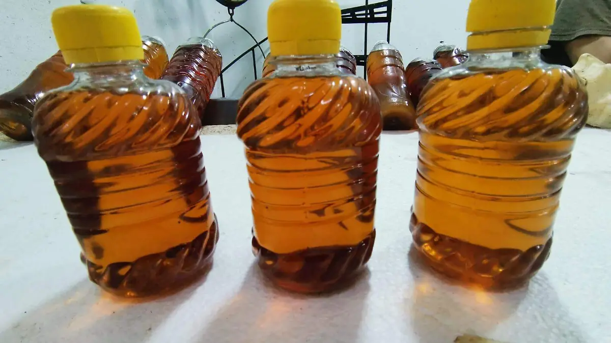 Aumenta venta de aceite de tiburón 