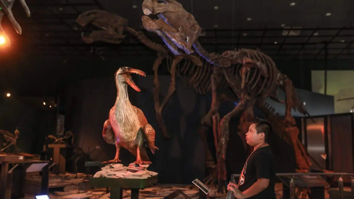 WhatsApp Image 2020-05-09 at 09.53.39