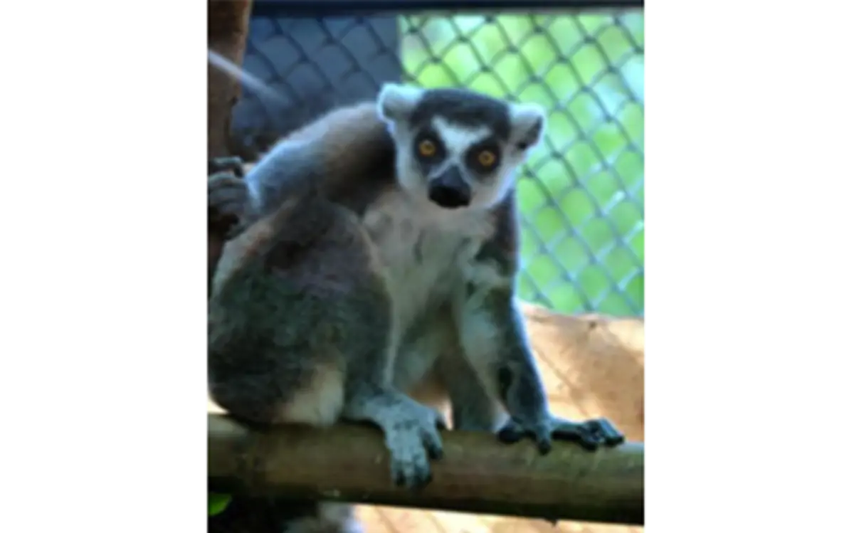 Captura de pantalla 2018-07-07 a la(s) 13.56.52