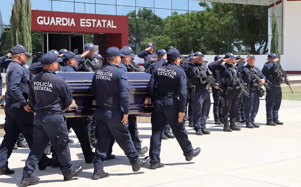 WhatsApp Image 2023-03-17 at 3.07.29 PM (4)