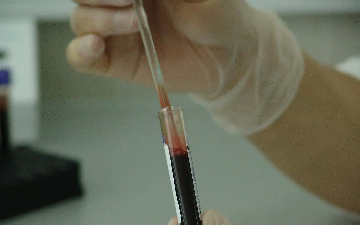 blood-20745_1920
