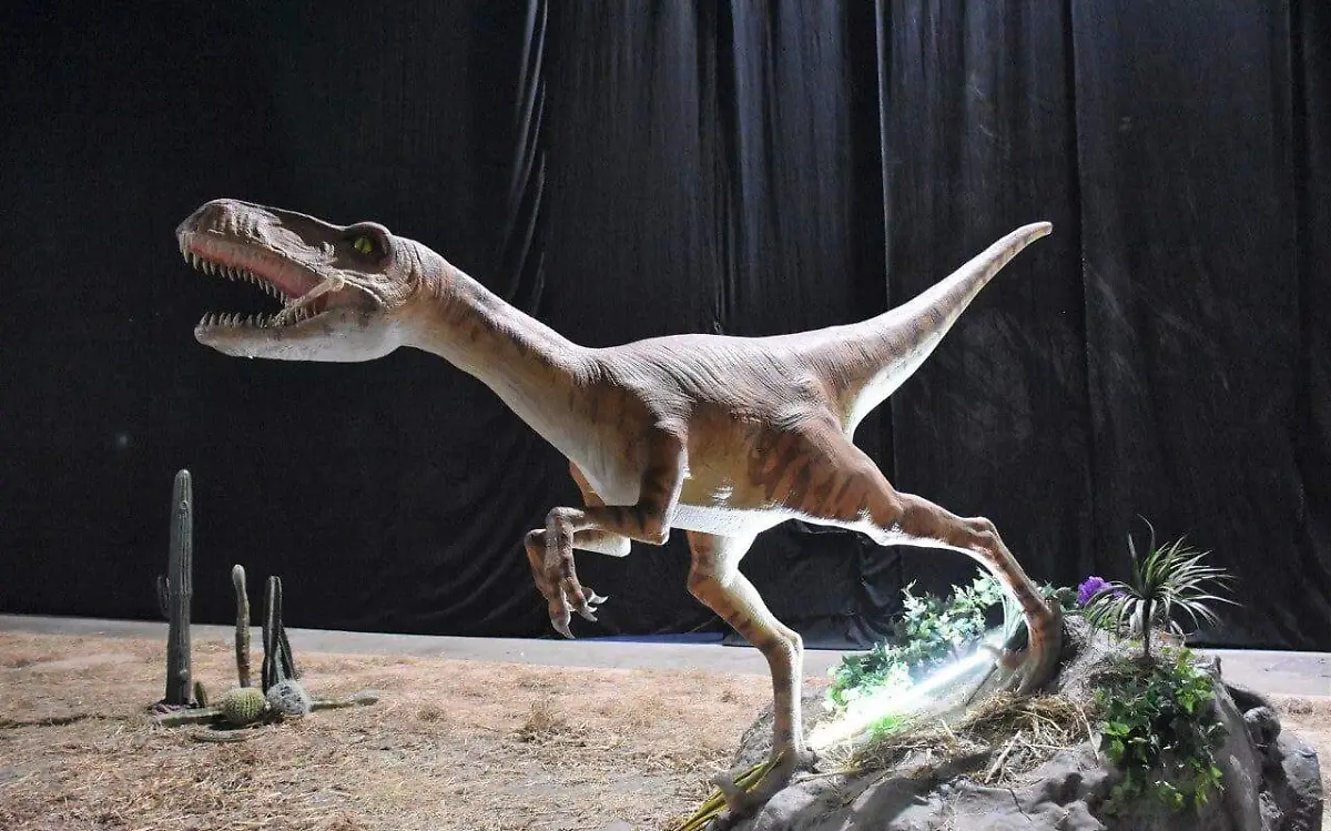 Tamaulipas y la Tierra de los Dinosaurios | Facebook Secretaría de Turismo Tamaulipas