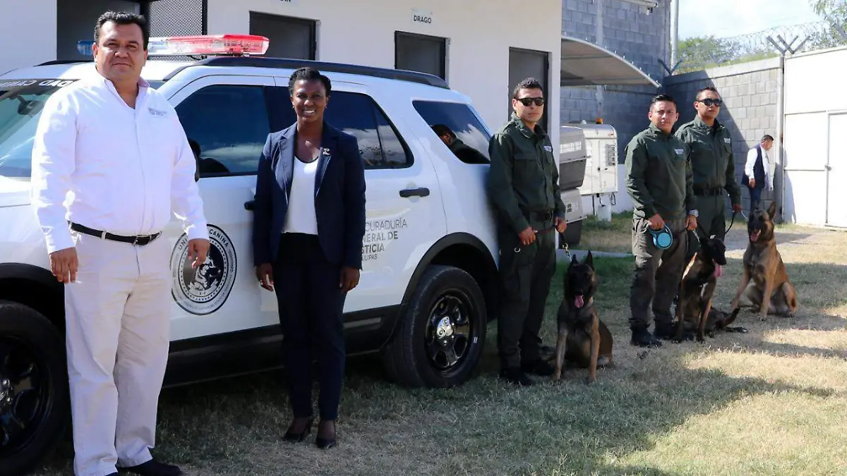 WhatsApp Image 2018-08-22 at 12.31.49