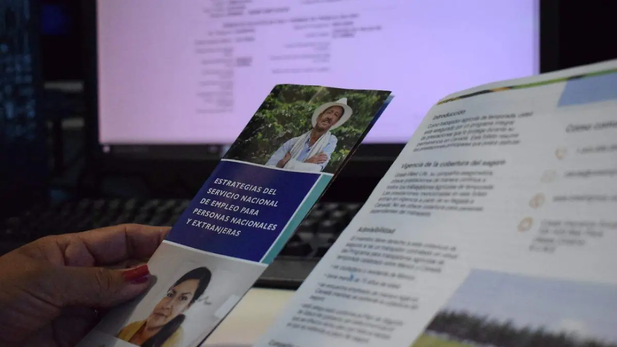 Ofertas de empleo en la SNE Tamaulipas