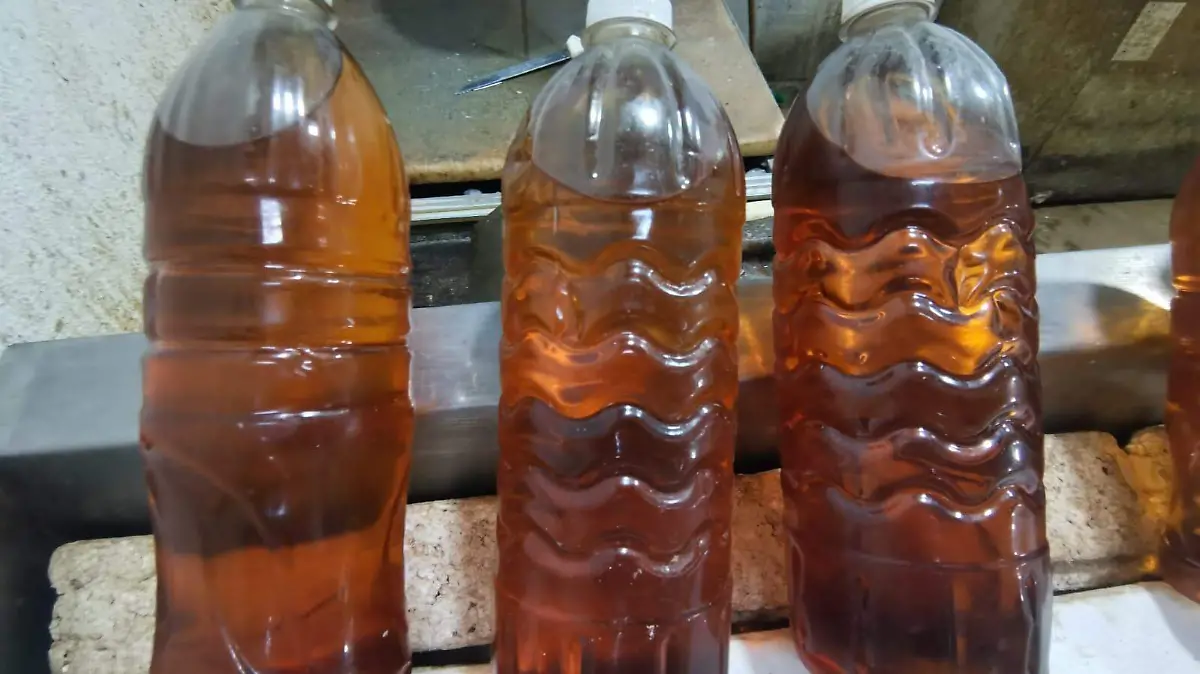 Aceite de tiburón cura enfermedades respiratorias 