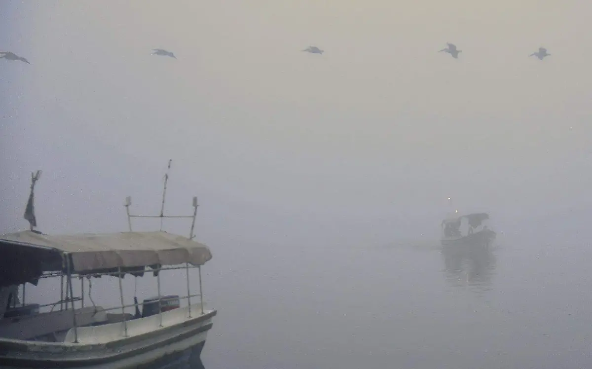 WhatsApp Image 2023-01-23 at 8.14.37 AM