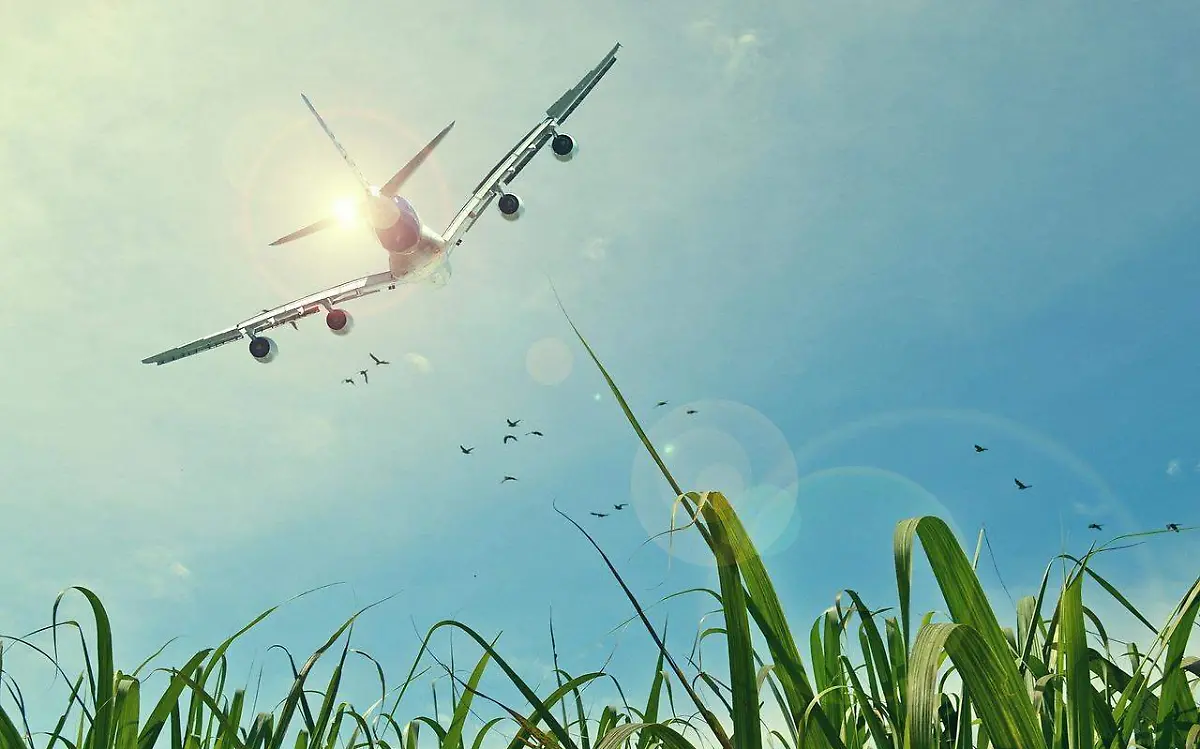 Confían en que el bombardeo de nubes en Tamaulipas ayude al campo, principalmente a la agricultura de la zona norte Pixabay