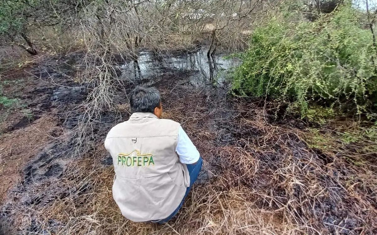 Derrame de hidrocarburo en Altamira José Luis Tapia (1)