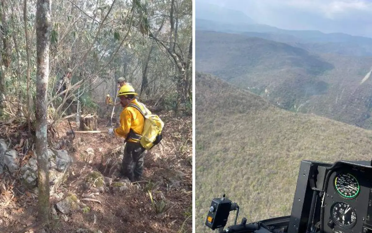 Ya fue controlado el incendio en la reserva ecológica de Gómez Farías Conafor