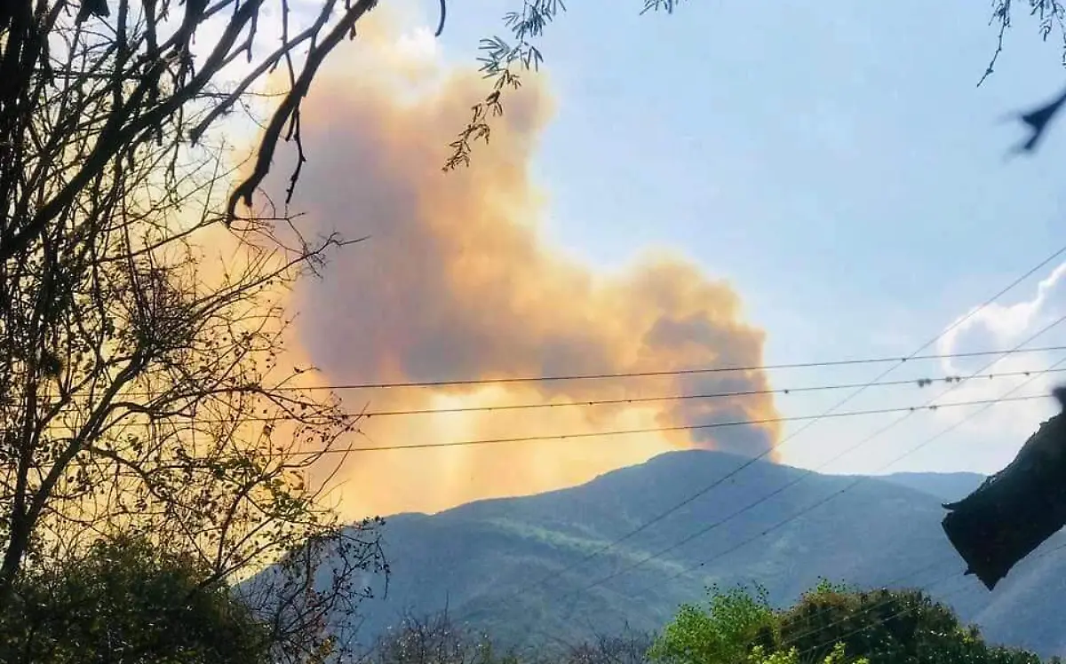 Incendio forestal en Güémez, Tamaulipas | El Diario Mx