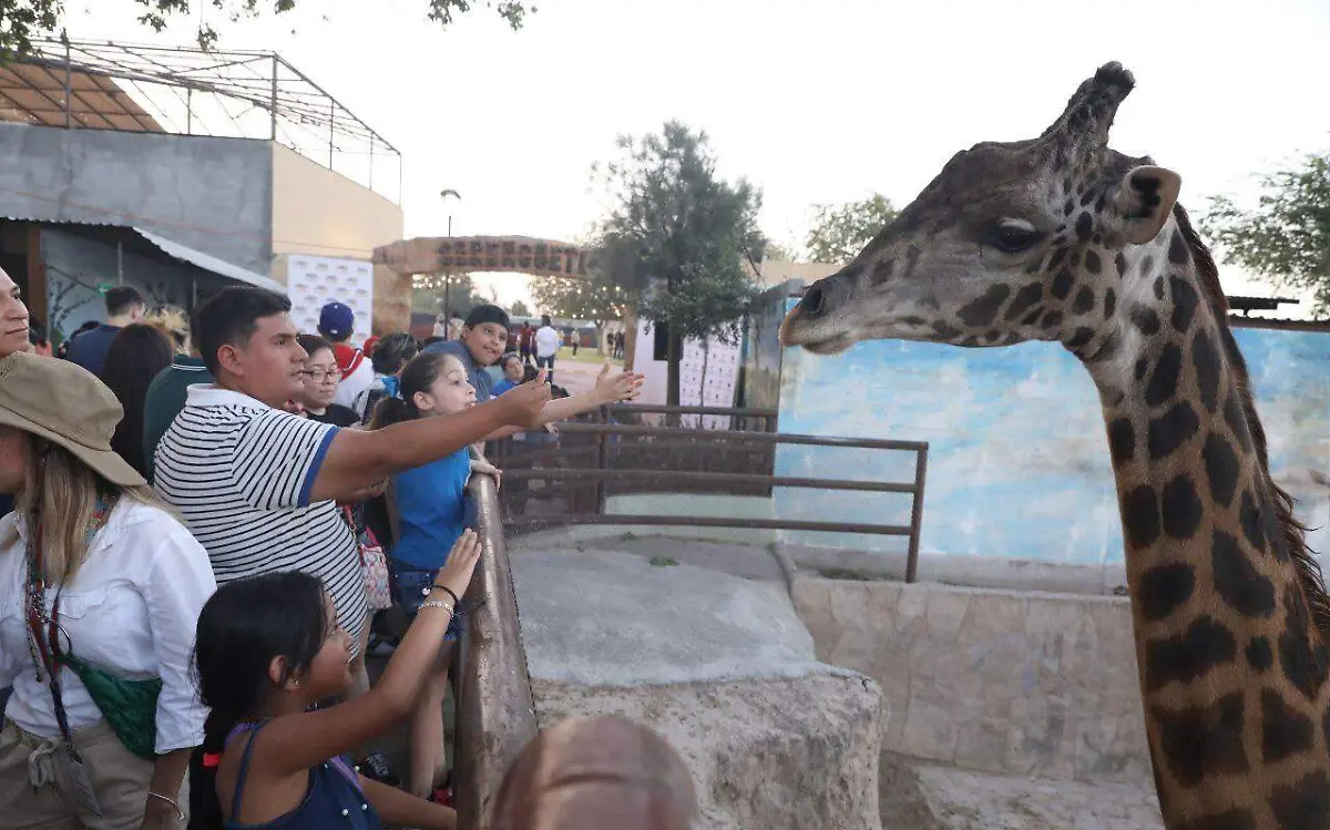 Dan apertura en NLD área Serengueti