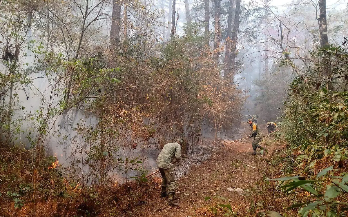 Ejército Mexicano arriba para combatir el incendio en El Cielo, Tamaulipas | Sedena
