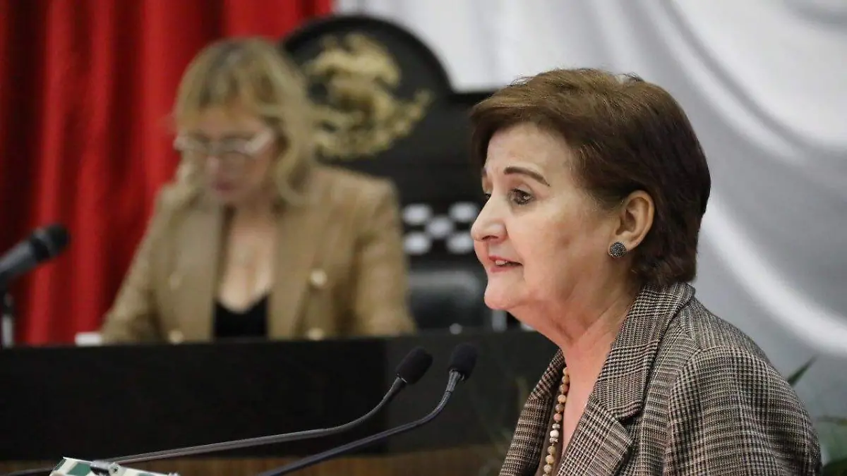 La diputada panista, Nora Gudelia Hinojosa García, presentó dicha iniciativa