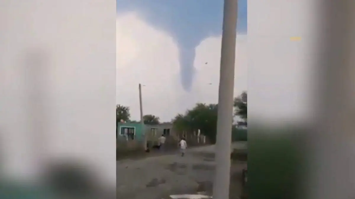 WhatsApp Image 2020-05-01 at 12.09.30