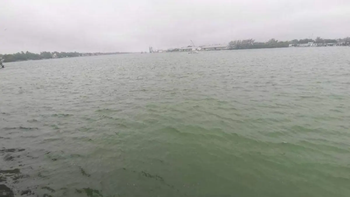 Seguirá el frío en Tamaulipas con Norte y temperaturas de hasta 5C | Alfredo Márquez 