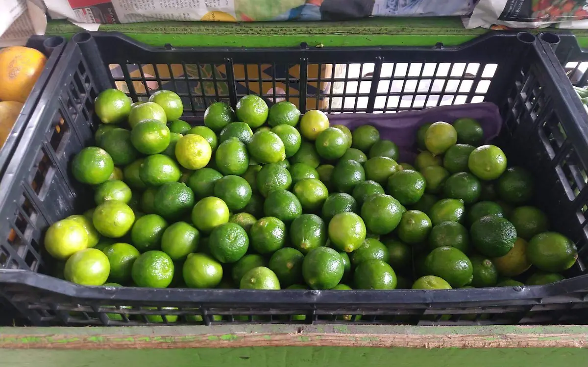 Limón vuelve aumentar de precio en Pánuco 