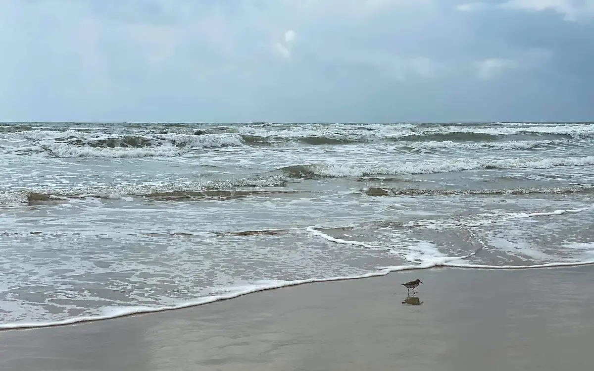 98319584_1677050189099969_3359762597069979648_n