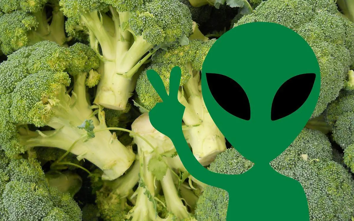 Un nuevo estudio señala que alimentos como la coliflor y el brócoli serían de gran utilidad para encontrar vida extraterrestre Pixabay