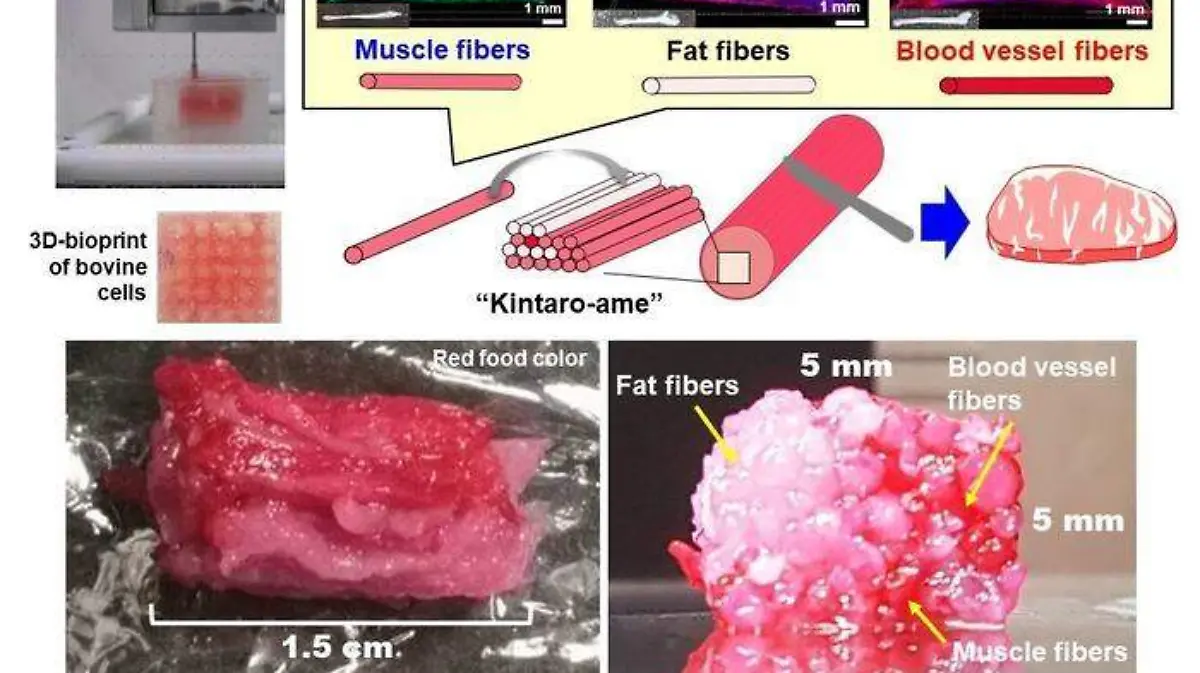El fueturo es hoy, científicos de Japón producen carne impresa en 3D