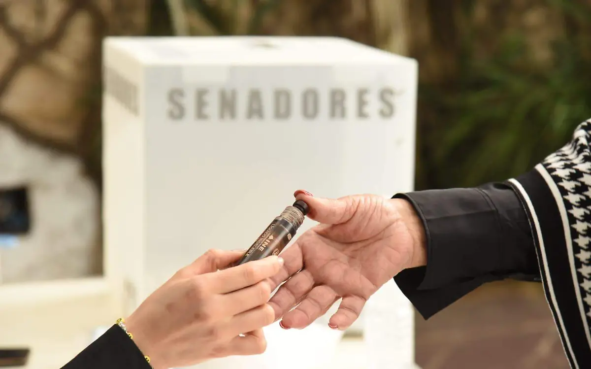Llaman a ciudadanía a votar en elecciones extraordinarias a senador | José Luis Tapia 