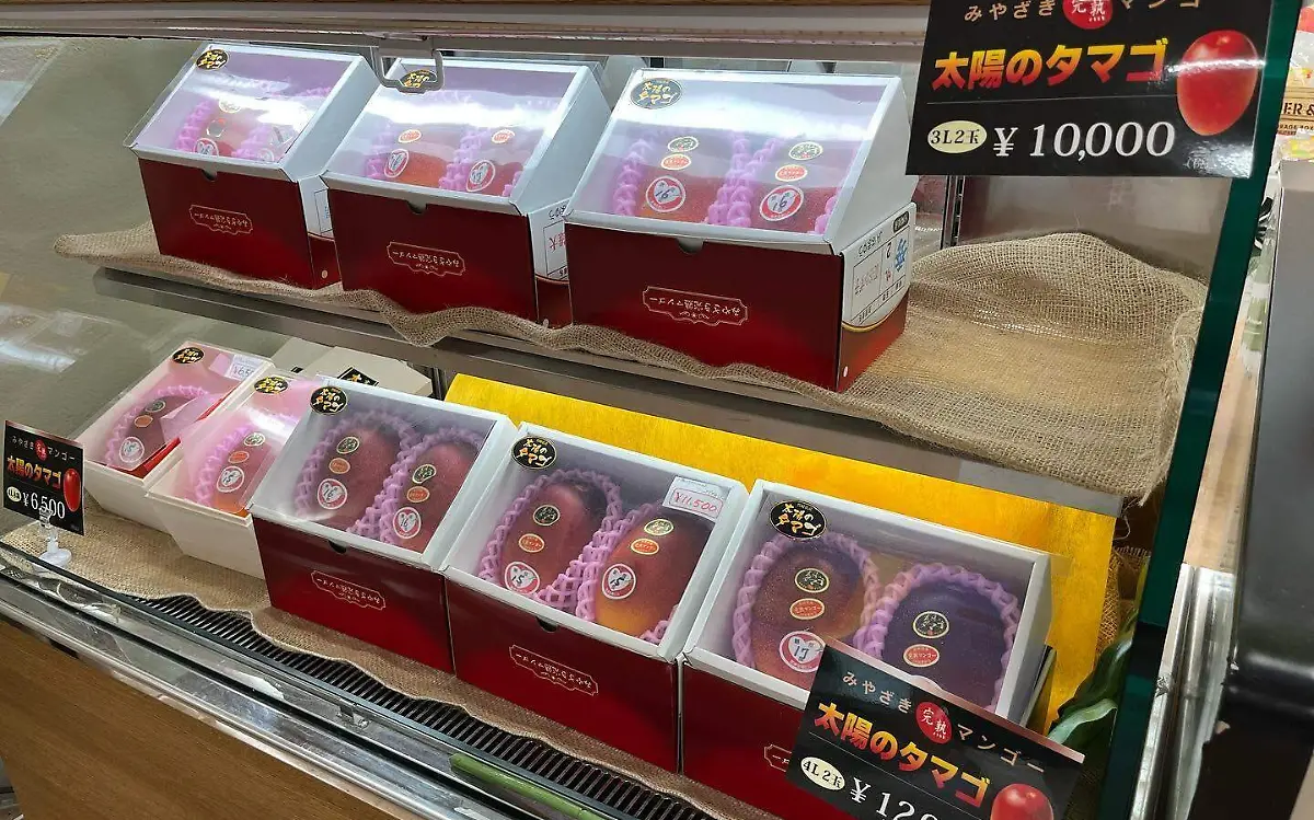 El mango Miyazaki es altamente apreciado por los habitantes de Japón Facebook @kilali.miyazaki