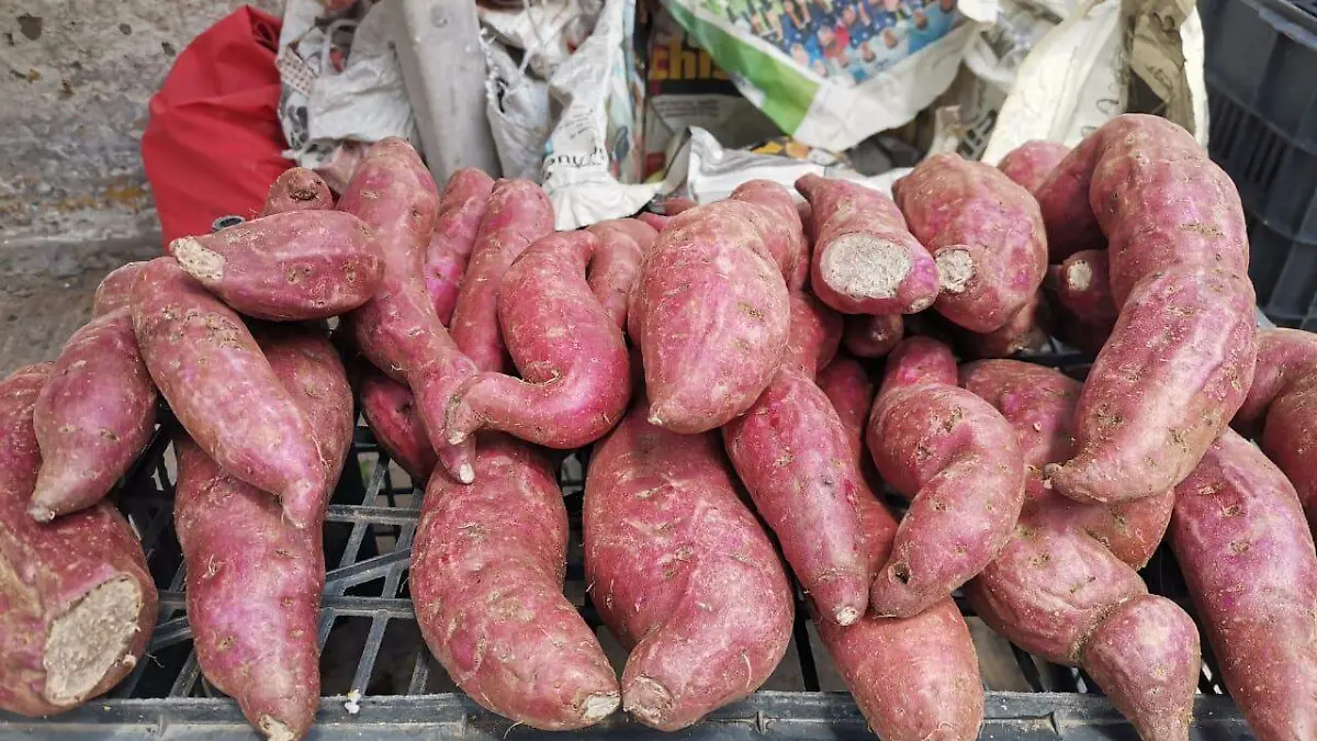 Vegetales orgánicos que siembran en sus domicilios son ofrecidos en el rodante de Pueblo Viejo