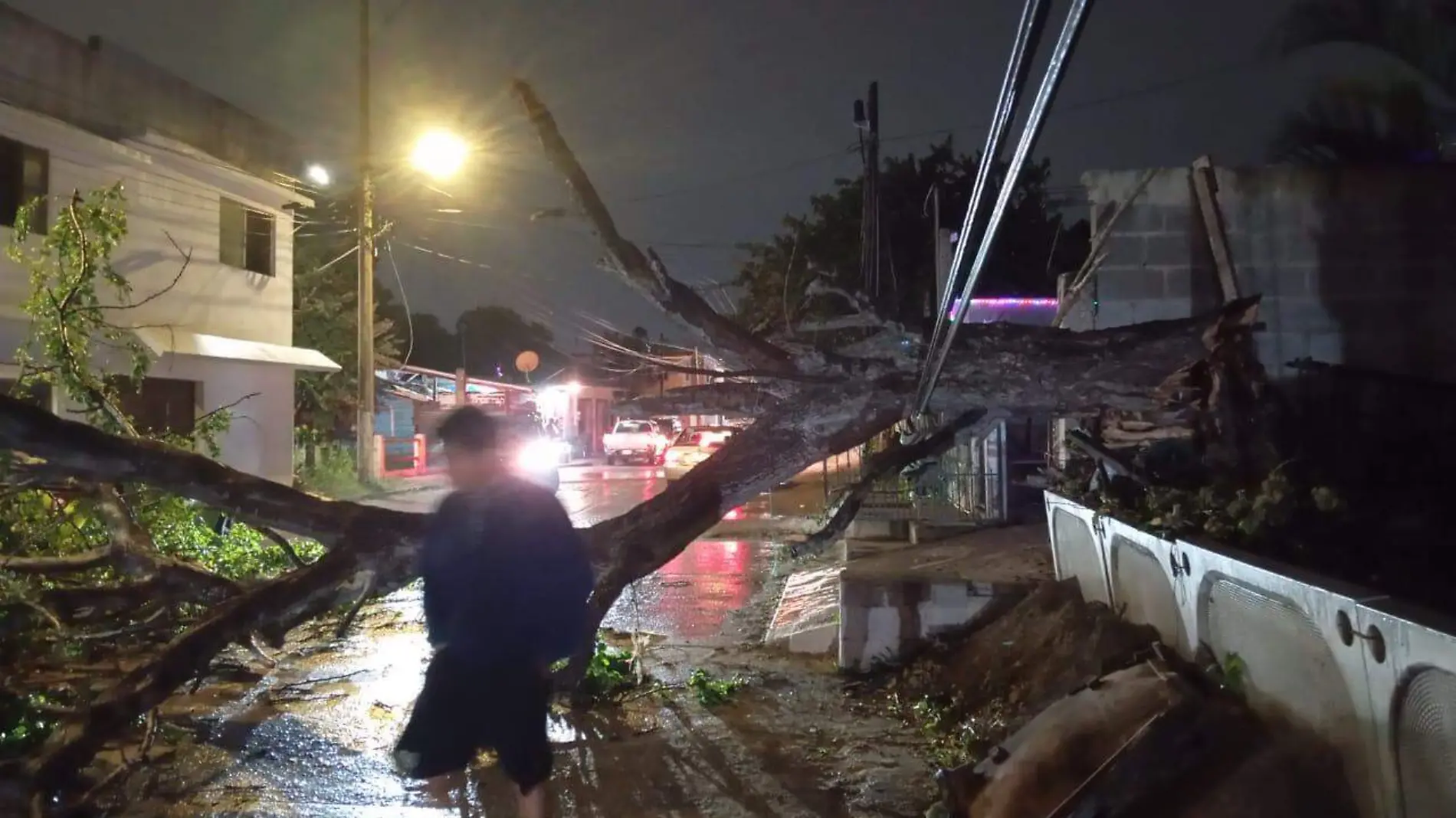 Uno de los incidentes más destacados ocurrió en la colonia Las Flores de la urbe petrolera, donde un árbol cayó