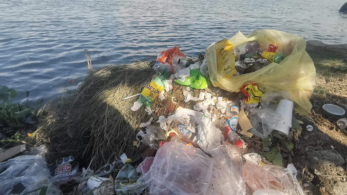 Contaminación sin control en el río Pánuco: un riesgo ambiental y de salud