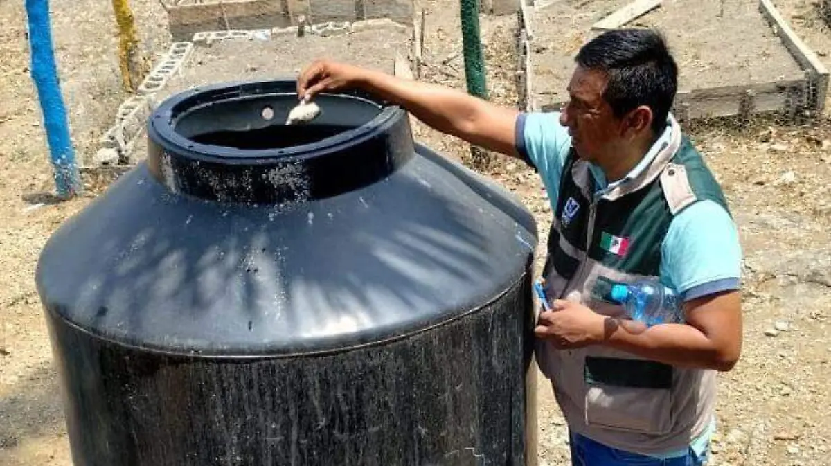 El IMSS exhorta a tomar medidas preventivas contra el dengue