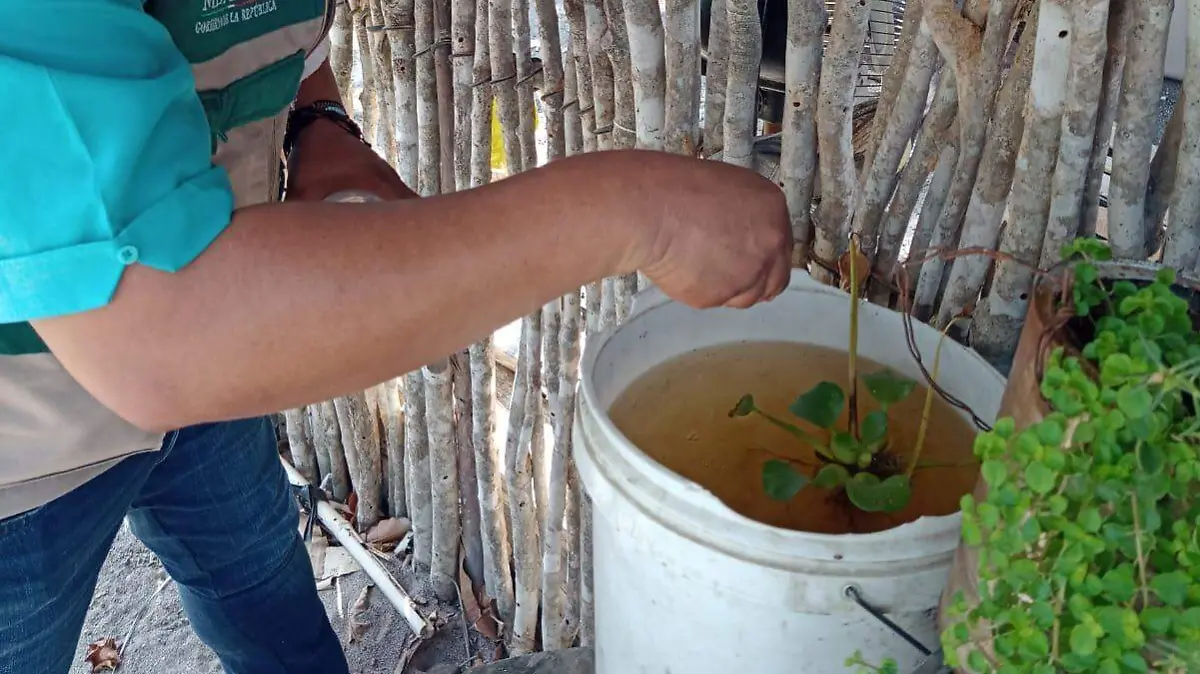 Hay que evitar dejar recipientes con agua para prevenir el dengue