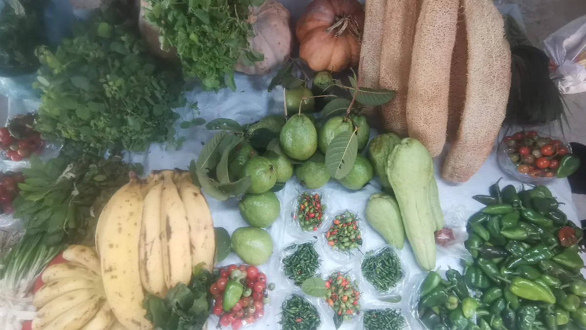 Comerciantes del norte de Veracruz ofertan también una gran variedad de productos del campo de cultivo de traspatio