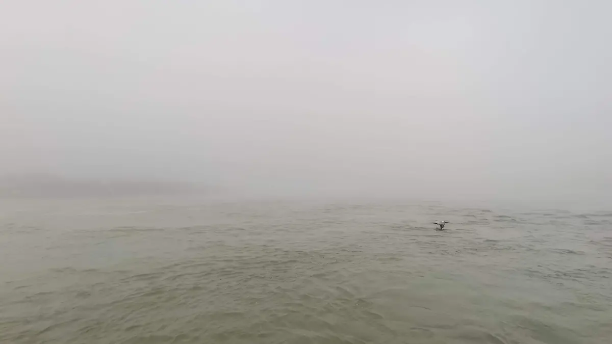 Banco de niebla en el río Pánuco