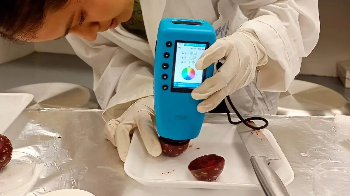 UAT estudia cáscara de pitaya