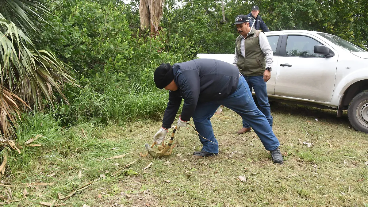 Profepa resguarda iguanas en Tampico ante las bajas temperaturas; Así las cuidan