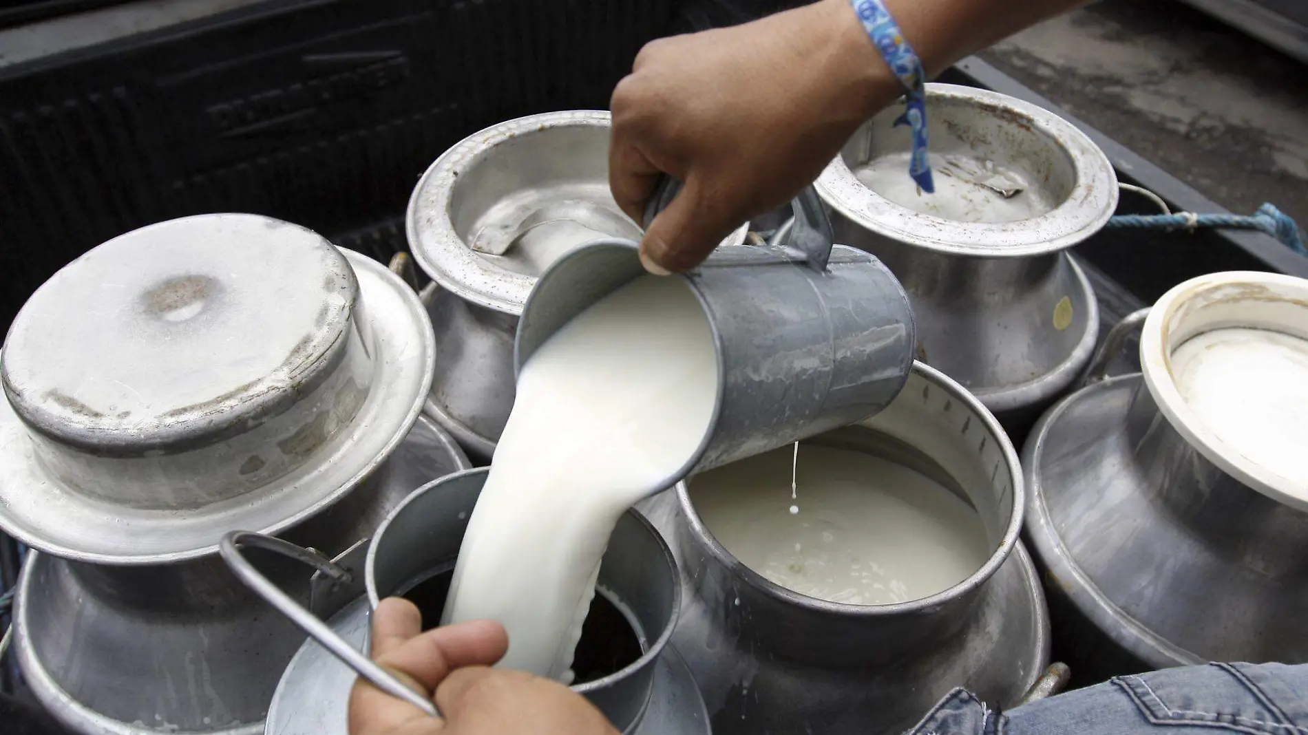 La producción de leche ha caído en un 40% en el norte de Veracruz