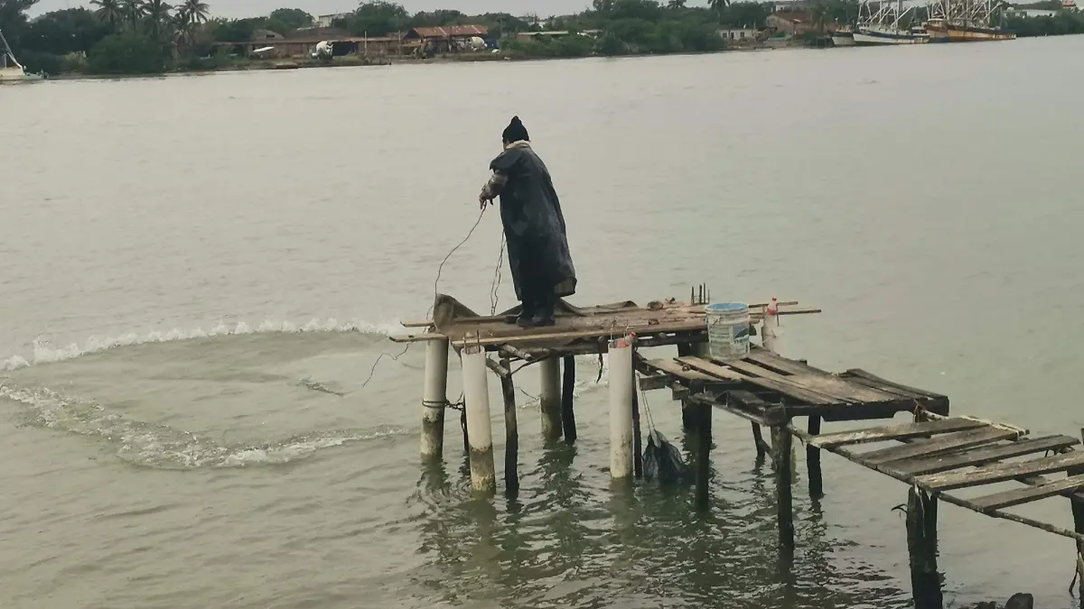 A lo largo del tramo del río Pánuco, desde el Paso del Humo hasta la colonia Adalberto Tejeda, se reúnen aproximadamente 30 pescadores