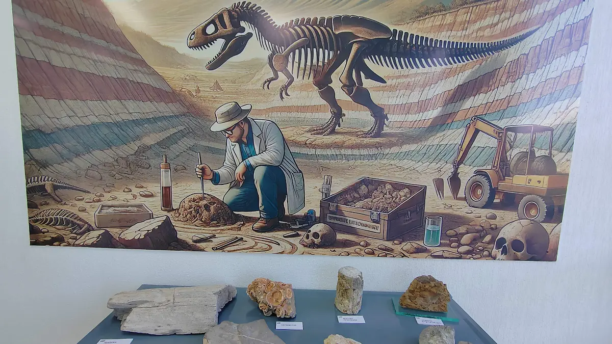 El museo cuenta con una sección de Paleontología