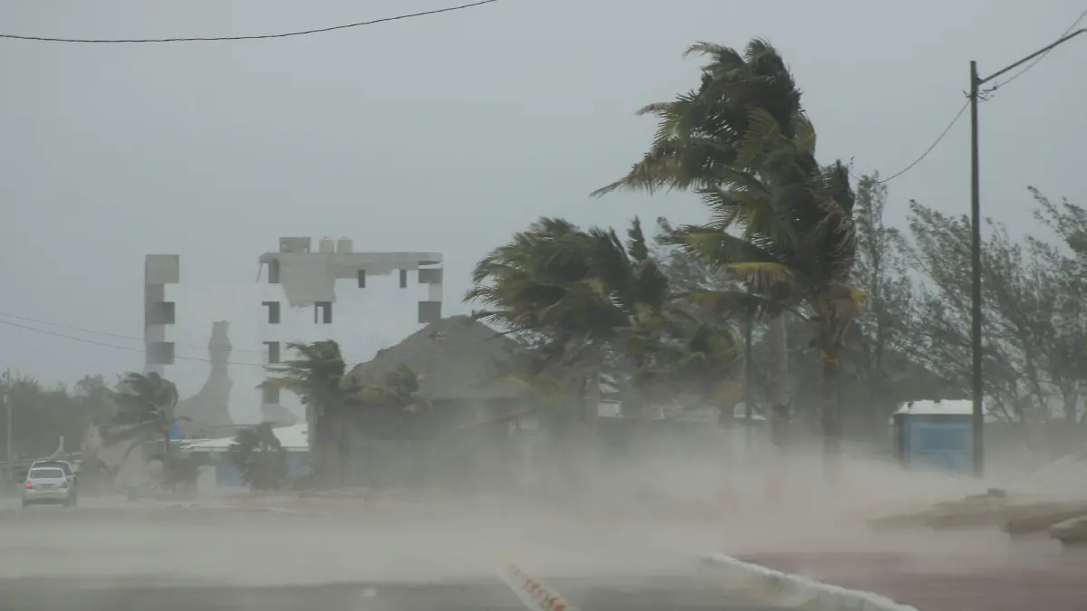 El norte es un fenómeno meteorológico caracterizado por fuertes rachas de viento, en ocasiones superiores a los 60 km/h