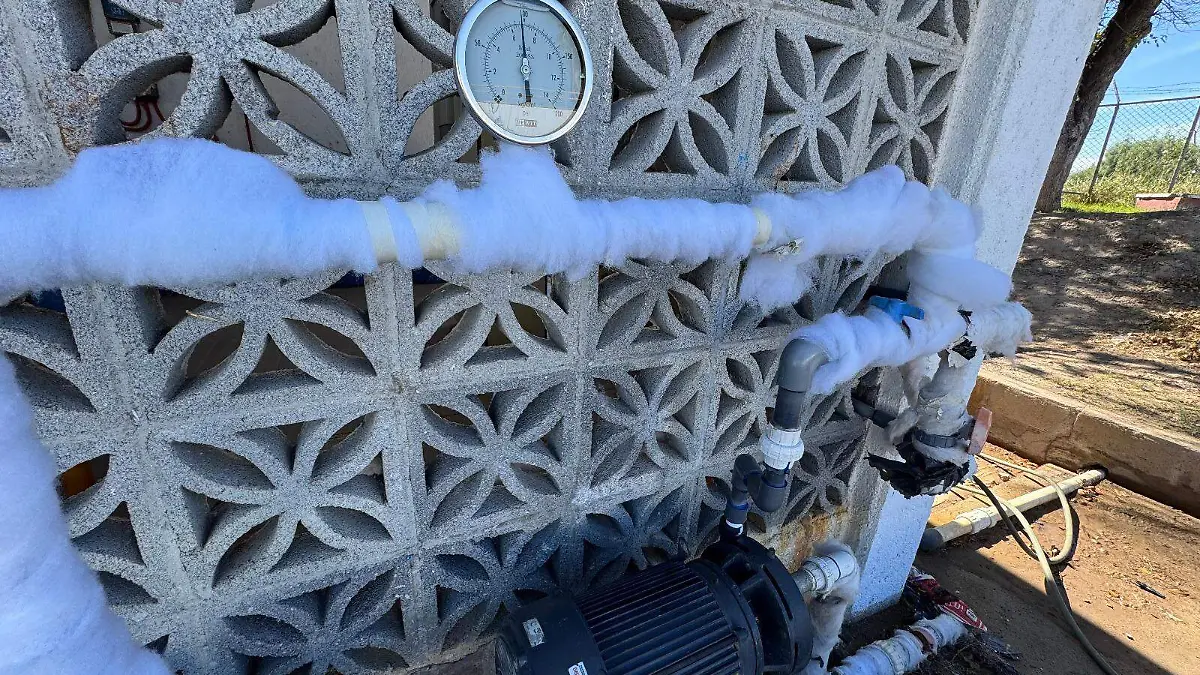 Para evitar daño a la infraestructura, la ciudadanía puede cubrir las tuberías con material que tenga en su casa