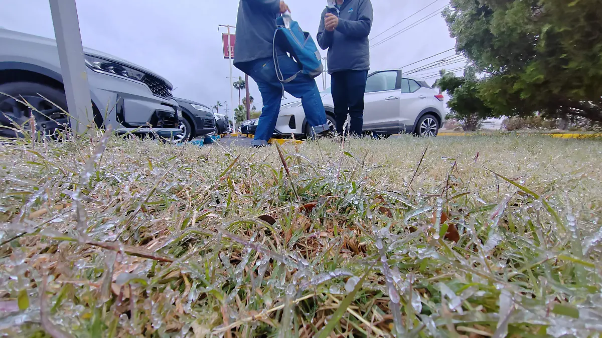 ¿Nuevo Laredo es el municipio más frío de Tamaulipas?