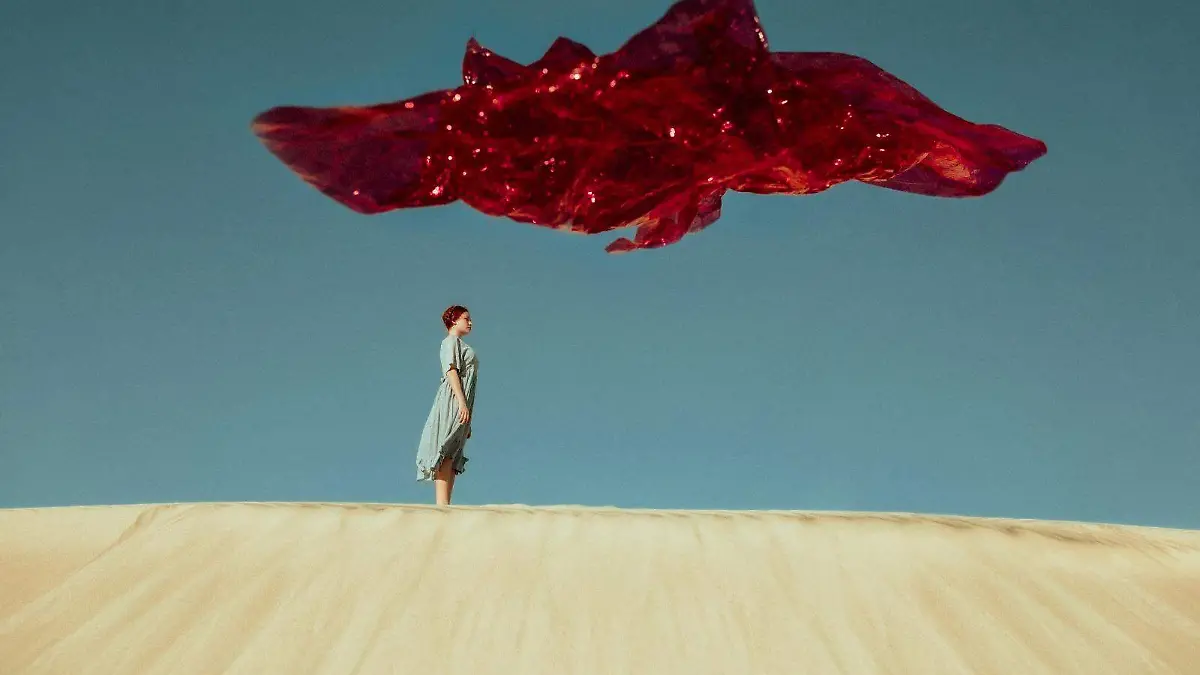 Handra Rocha experimentar