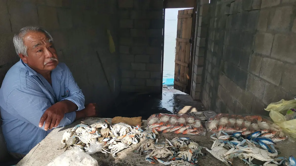 En invierno desciende la captura de este crustáceo en las lagunas de Pueblo Viejo